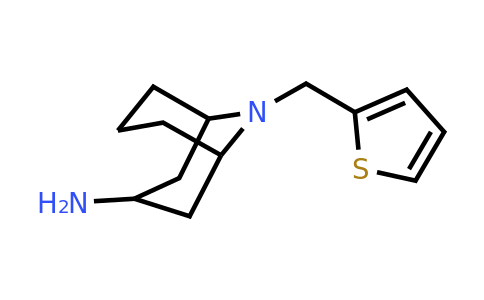 1340533-69-8 | 9-(Thiophen-2-ylmethyl)-9-azabicyclo[3.3.1]nonan-3-amine