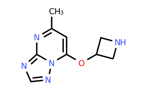 1341395-15-0 | 7-(Azetidin-3-yloxy)-5-methyl-[1,2,4]triazolo[1,5-a]pyrimidine