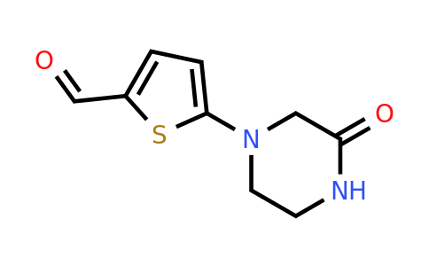 1342664-82-7 | 5-(3-Oxopiperazin-1-yl)thiophene-2-carbaldehyde