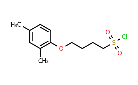 1343596-95-1 | 4-(2,4-Dimethylphenoxy)butane-1-sulfonyl chloride