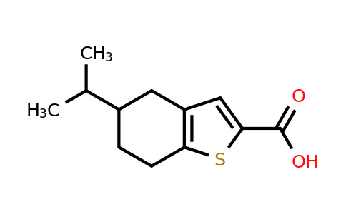 1343988-74-8 | 5-(Propan-2-yl)-4,5,6,7-tetrahydro-1-benzothiophene-2-carboxylic acid