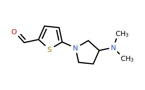 1344247-69-3 | 5-(3-(Dimethylamino)pyrrolidin-1-yl)thiophene-2-carbaldehyde