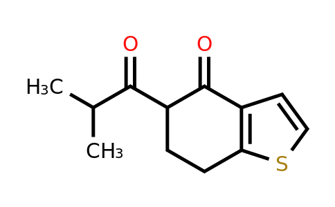1344372-49-1 | 5-Isobutyryl-6,7-dihydrobenzo[b]thiophen-4(5h)-one