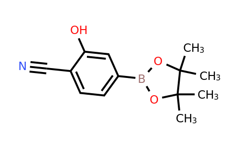 2-Hydroxy-4-(4,4,5,5-tetramethyl-1,3,2-dioxaborolan-2-yl)benzonitrile
