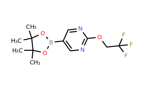 1351234-12-2 | 5-(4,4,5,5-Tetramethyl-1,3,2-dioxaborolan-2-yl)-2-(2,2,2-trifluoroethoxy)pyrimidine