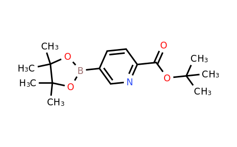 1354356-24-3 | tert-Butyl 5-(4,4,5,5-tetramethyl-1,3,2-dioxaborolan-2-yl)picolinate