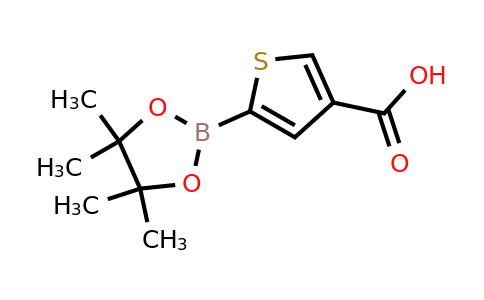 1354699-11-8 | 5-(4,4,5,5-Tetramethyl-1,3,2-dioxaborolan-2-yl)thiophene-3-carboxylic acid