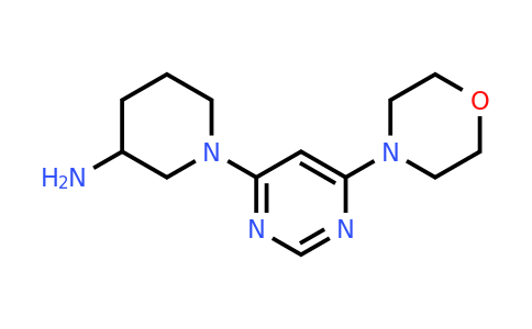 1354963-45-3 | 1-[6-(morpholin-4-yl)pyrimidin-4-yl]piperidin-3-amine