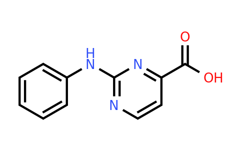 1360802-78-3 | 2-(Phenylamino)pyrimidine-4-carboxylic acid