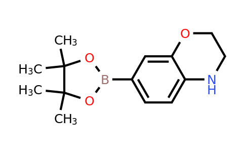 1361110-64-6 | 7-(4,4,5,5-Tetramethyl-1,3,2-dioxaborolan-2-yl)-3,4-dihydro-2H-benzo[b][1,4]oxazine