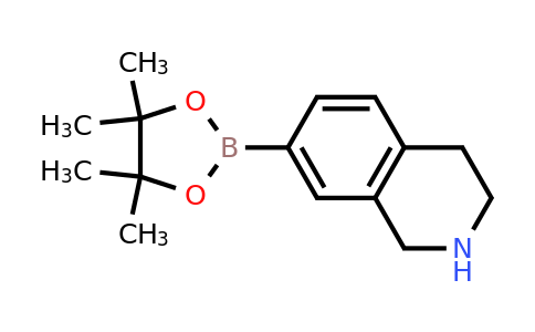 1362243-37-5 | 7-(4,4,5,5-Tetramethyl-1,3,2-dioxaborolan-2-yl)-1,2,3,4-tetrahydroisoquinoline