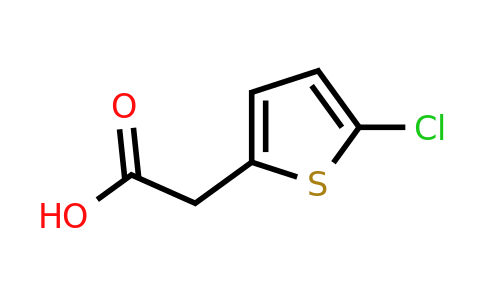 13669-19-7 | 2-(5-Chlorothiophen-2-yl)acetic acid