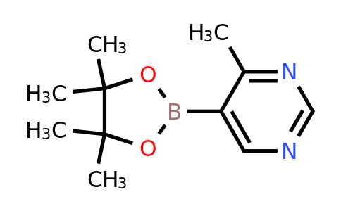 1370001-96-9 | 4-Methyl-5-(4,4,5,5-tetramethyl-1,3,2-dioxaborolan-2-yl)pyrimidine