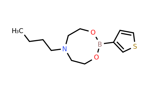 1379794-75-8 | 6-Butyl-2-(3-thienyl)-1,3,6,2-dioxazaborocane