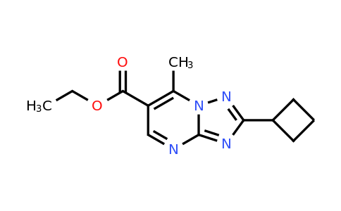 1379811-55-8 | Ethyl 2-cyclobutyl-7-methyl-[1,2,4]triazolo[1,5-a]pyrimidine-6-carboxylate