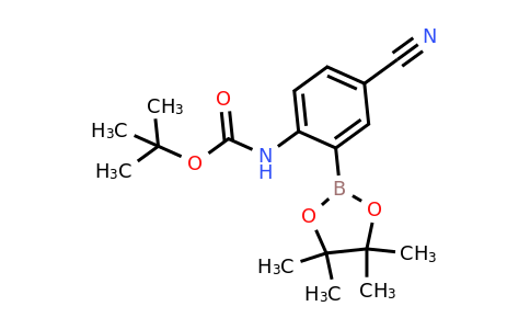 1384313-04-5 | Carbamic acid N-[4-cyano-2-(4,4,5,5-tetramethyl-1,3,2-dioxaborolan-2-yl)phenyl]-1,1-dimethylethyl ester