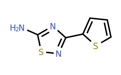 138613-72-6 | 3-(Thiophen-2-yl)-1,2,4-thiadiazol-5-amine