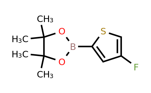 1416853-81-0 | 2-(4-Fluorothiophen-2-yl)-4,4,5,5-tetramethyl-1,3,2-dioxaborolane