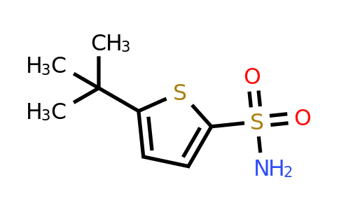 142294-56-2 | 5-Tert-butylthiophene-2-sulfonamide