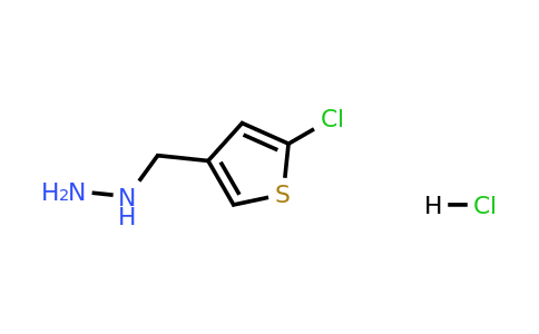 1427367-76-7 | [(5-Chlorothiophen-3-yl)methyl]hydrazine hydrochloride