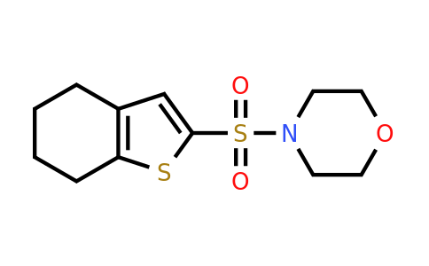 1427461-05-9 | 4-((4,5,6,7-Tetrahydrobenzo[b]thiophen-2-yl)sulfonyl)morpholine