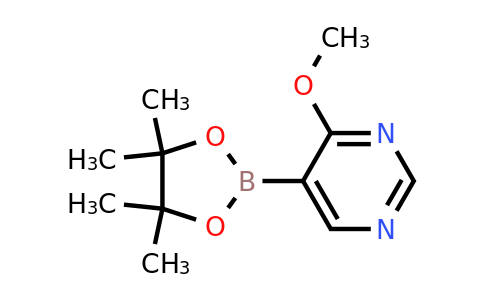 1448869-98-4 | 4-Methoxy-5-(4,4,5,5-tetramethyl-1,3,2-dioxaborolan-2-yl)pyrimidine