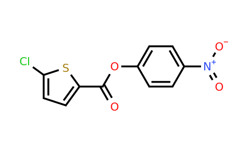 1450877-56-1 | 4-Nitrophenyl 5-chlorothiophene-2-carboxylate