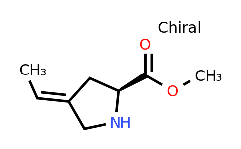 1450878-50-8 | methyl (2S,4E)-4-ethylidenepyrrolidine-2-carboxylate
