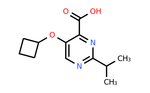 1457497-47-0 | 5-Cyclobutoxy-2-(propan-2-yl)pyrimidine-4-carboxylic acid