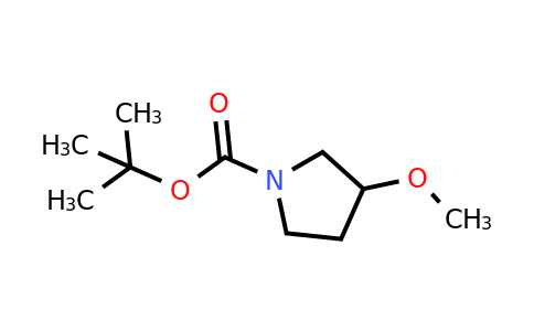 146257-03-6 | tert-Butyl 3-methoxypyrrolidine-1-carboxylate