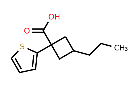 1466258-46-7 | 3-Propyl-1-(thiophen-2-yl)cyclobutane-1-carboxylic acid