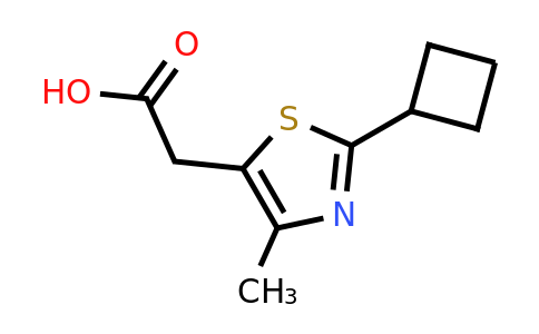 1488791-28-1 | 2-(2-Cyclobutyl-4-methylthiazol-5-yl)acetic acid