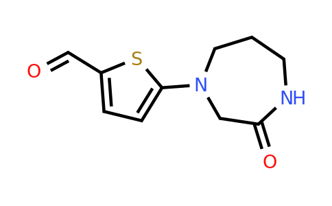 1489859-11-1 | 5-(3-Oxo-1,4-diazepan-1-yl)thiophene-2-carbaldehyde