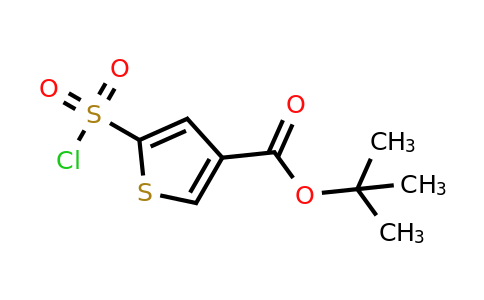 1491206-60-0 | Tert-butyl 5-(chlorosulfonyl)thiophene-3-carboxylate