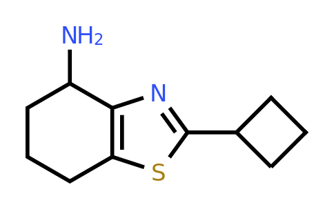 1491844-06-4 | 2-Cyclobutyl-4,5,6,7-tetrahydrobenzo[d]thiazol-4-amine
