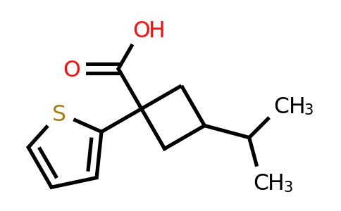 1509663-85-7 | 3-Isopropyl-1-(thiophen-2-yl)cyclobutane-1-carboxylic acid