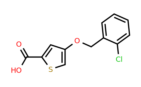 1511303-44-8 | 4-[(2-chlorophenyl)methoxy]thiophene-2-carboxylic acid