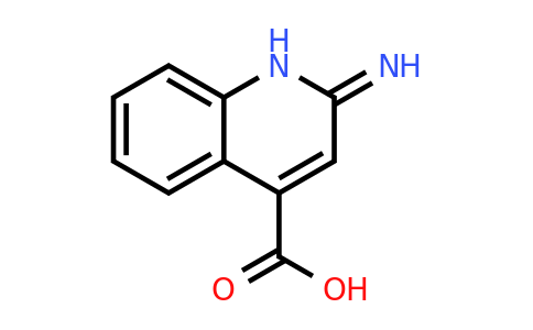 157915-68-9 | 2-Imino-1,2-dihydroquinoline-4-carboxylic acid