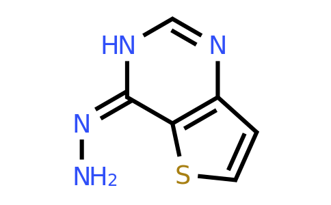 16229-26-8 | 4-Hydrazono-3,4-dihydrothieno[3,2-d]pyrimidine