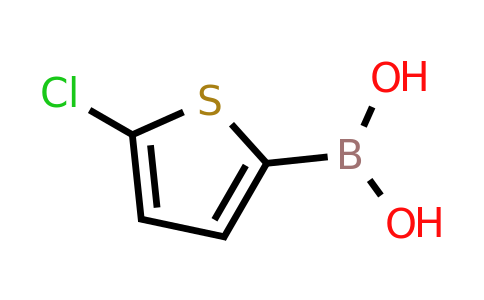 162607-18-3 | 5-Chloro-2-thienylboronic acid