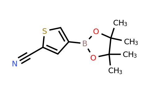 1642844-61-8 | 4-(4,4,5,5-Tetramethyl-1,3,2-dioxaborolan-2-yl)thiophene-2-carbonitrile