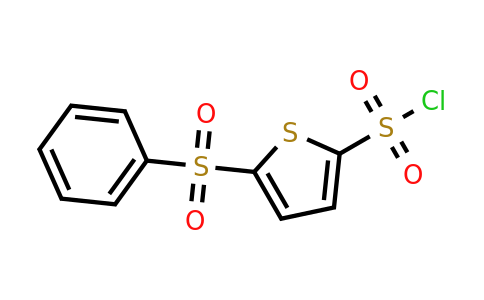 166964-37-0 | 5-(Phenylsulfonyl)thiophene-2-sulfonyl chloride