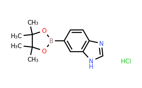 1704081-85-5 | 6-(4,4,5,5-Tetramethyl-1,3,2-dioxaborolan-2-yl)-1H-benzo[d]imidazole hydrochloride