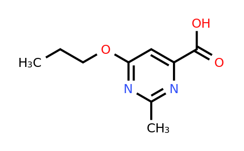 1708380-10-2 | 2-methyl-6-propoxypyrimidine-4-carboxylic acid