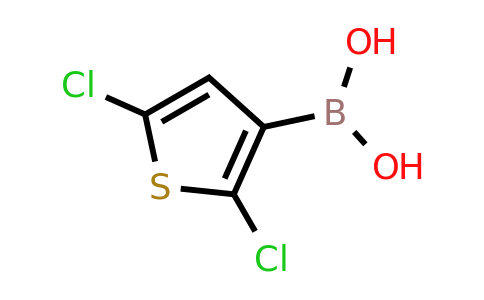 177735-28-3 | (2,5-Dichlorothiophen-3-yl)boronic acid