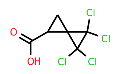 1788041-68-8 | 4,4,5,5-Tetrachlorospiro[2.2]pentane-1-carboxylic acid