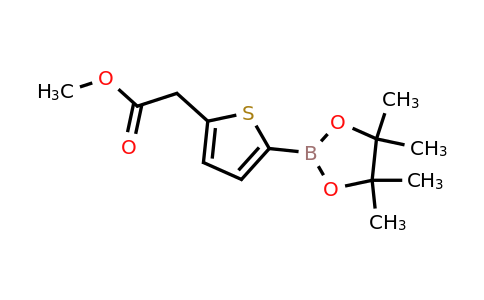 1788894-41-6 | Methyl 2-(5-(4,4,5,5-tetramethyl-1,3,2-dioxaborolan-2-yl)thiophen-2-yl)acetate