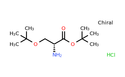 179559-35-4 | H-D-Ser(tBu)-OtBu.HCl
