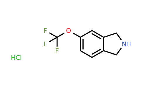 1810070-26-8 | 5-(Trifluoromethoxy)isoindoline hydrochloride