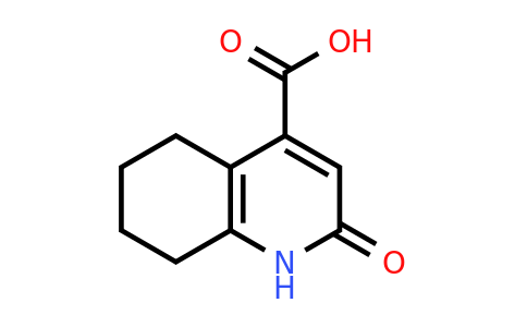 2-Oxo-1,2,5,6,7,8-hexahydroquinoline-4-carboxylic acid
